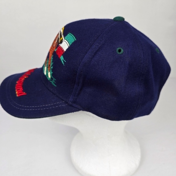 RARE- Colorful Embroidered 3D Horse Barrel Racing Rodeo Western Hat- Blue - Picture 11 of 12